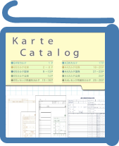 カルテカタログへのリンク